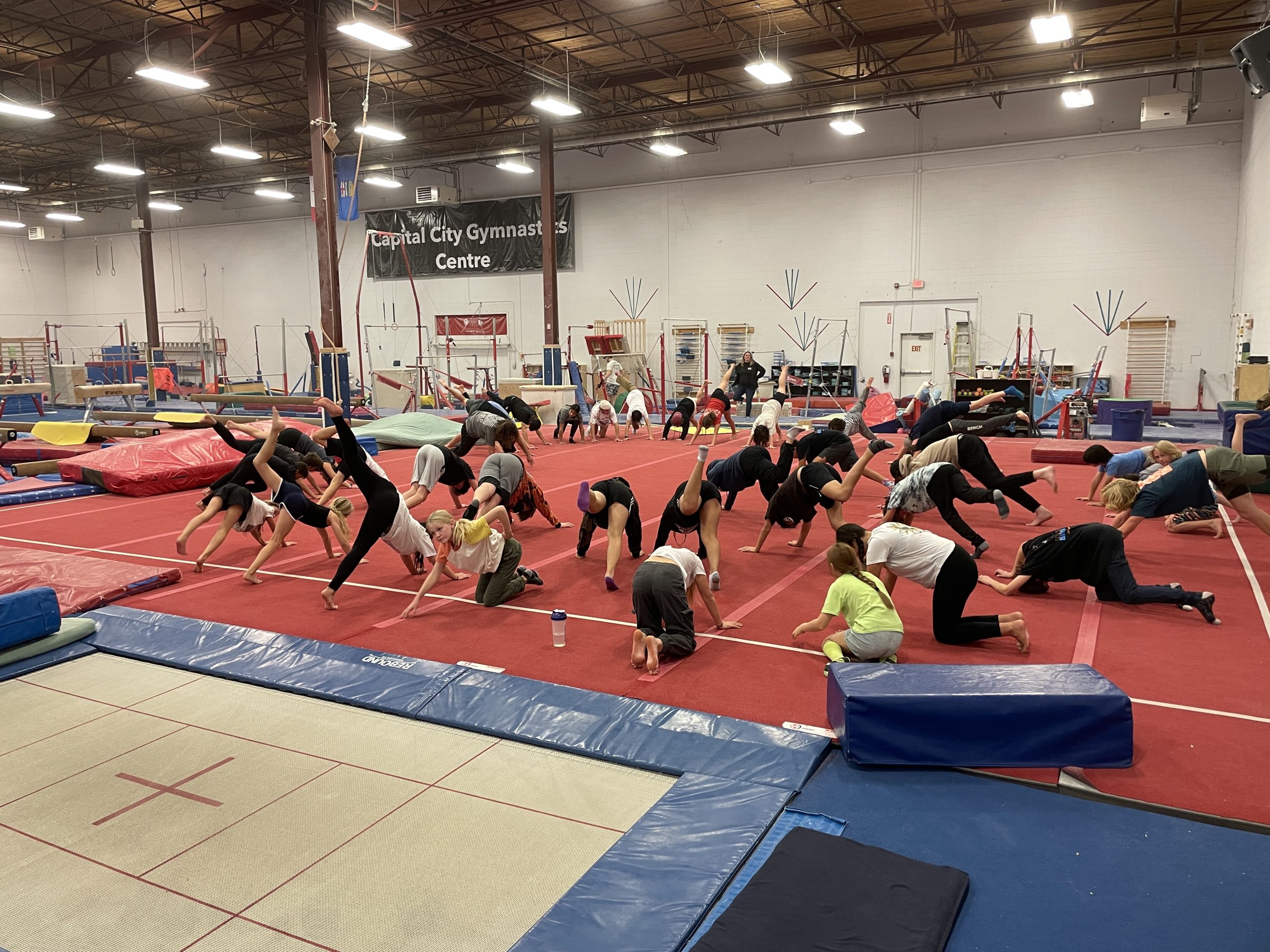 Featured image for “Calgary | Lil’ Shredders Dryland”